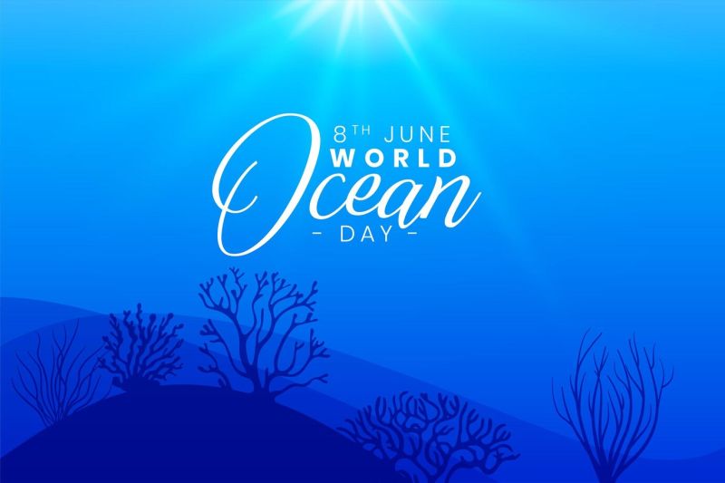 The Power of Digital Minimalism: Less Screen, More Life